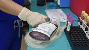 CSS anuncia una disminución del 50% en las donaciones de sangre