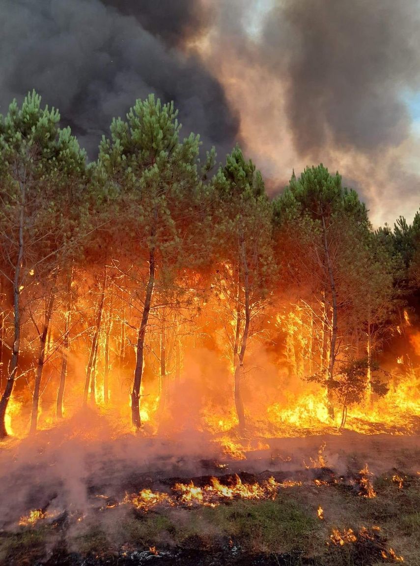 Fotos provistas por los bomberos mostraron llamaradas sobre los pinos que provocaron nubes de humo oscuro elevándose por encima del bosque.