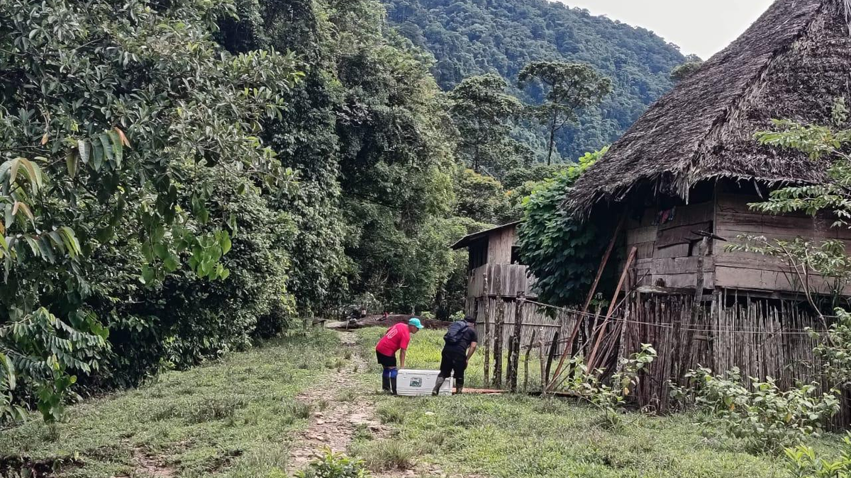 MINSA contiene brote de tos ferina en Besikó MINSA contiene brote de tos ferina en Besikó