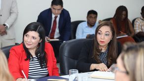 Ministerios de la Mujer, MITRADEL y MINGOB