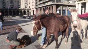 Joven cumple promesa de cruzar Uruguay a caballo para asistir a su graduación