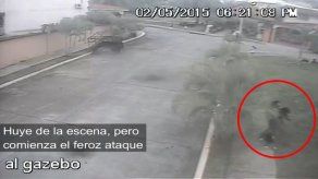 Niña se enfrentó a tres perros para salvar a su mascota