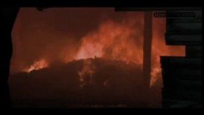 Se registra incendio en instalaciones de Adisa Snacks en Ave. Frangipani