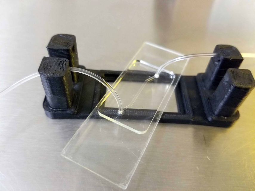 Crean el primer hígado en un chip de Latinoamérica