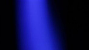 Neil Young: Steve Jobs oía discos de vinilo