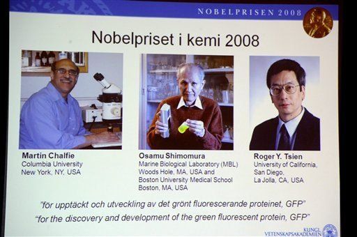 Premio Nobel de Química a un japonés y dos estadounidenses
