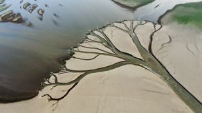 La situación en China es un reflejo de lo que ocurre en Europa y en otros puntos del hemisferio norte.