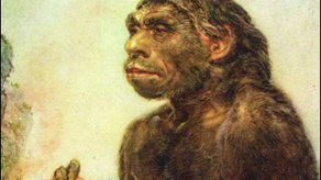 Los neandertales crearon las primeras joyas humanas hace 130.000 años