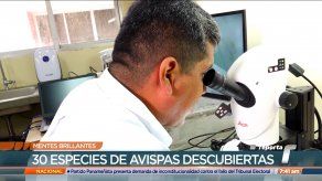 Mentes Brillantes: Enrique Medianero Segundo