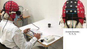 Es la primera vez que esta técnica, llamada optogenética, permite obtener una &nbsp;recuperación parcial de la función visual.