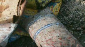 Director del IMA defiende proceso de descarte de productos de Jumbo Ferias