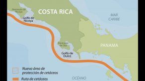 Costa Rica establece rutas para proteger especies en sus aguas del Pacífico
