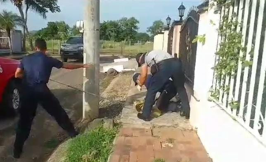 Atrapan a el cocodrilo que atemorizaba las calles de Herrera