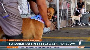 Club Canino del Tribunal Electoral cuenta con 9 miembros