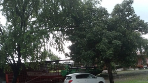 &nbsp;Lluvias y fuertes vientos producen afectaciones en el fluido eléctrico.