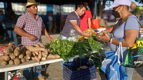 Agroferias para este fin de semana.&nbsp;