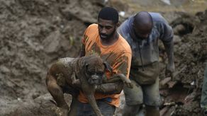El cambio climático nos está creando más problemas.