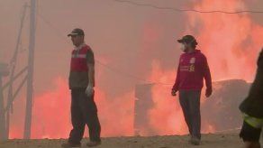 Sociedad chilena se mueve para ayudar a compatriotas afectados por incendios