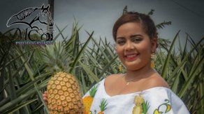 Visita la Feria de la Piña del 4 al 7 de Abril