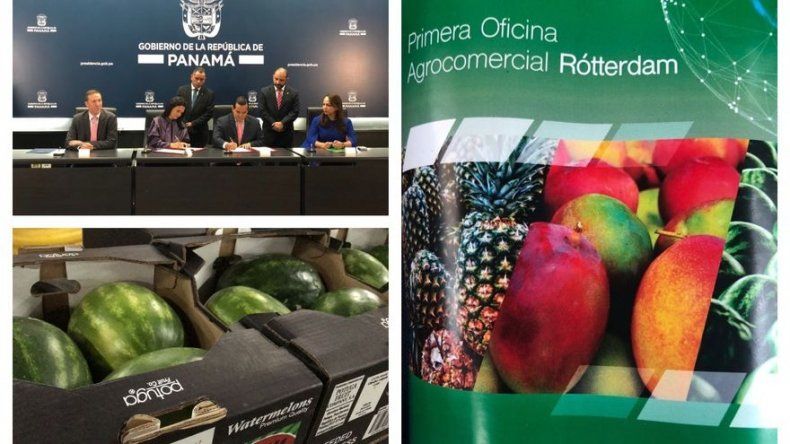 Panamá abre su primera oficina Agrocomercial en Holanda