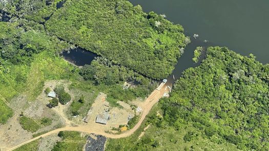Los caminos son significativos porque la mayoría de la deforestación ocurre junto a ellos, donde el acceso es más fácil y la tierra es más valiosa.