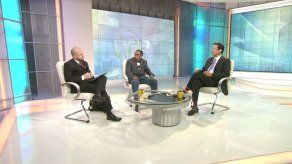 Hallan plaga peligrosa en área de origen de cebollas importadas de Holanda