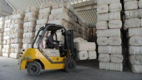 India prohíbe sus exportaciones de algodón