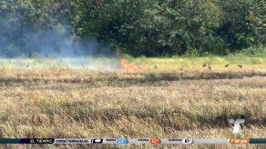 Más de 5 mil hectáreas afectadas en 2023 por incendios provocados