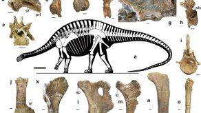 Los dinosaurios diplocoideos se distribuyeron por el supercontinente Pangea