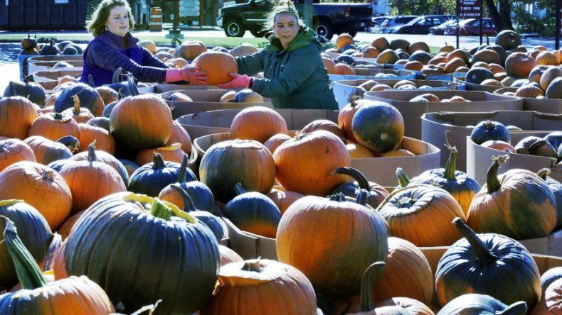 Festival de calabazas de Halloween queda muy lejos de récord en EEUU