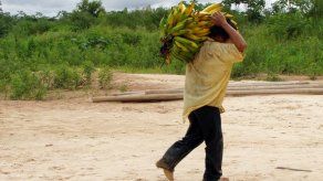 Indígenas bolivianos tienen los corazones más sanos