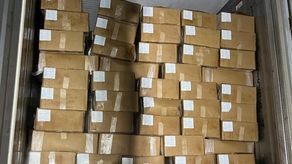 Panameños exportan 37.4 toneladas de camarón rojo a China