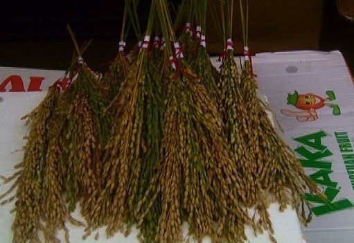 Las tradiciones para recibir el Año Nuevo
