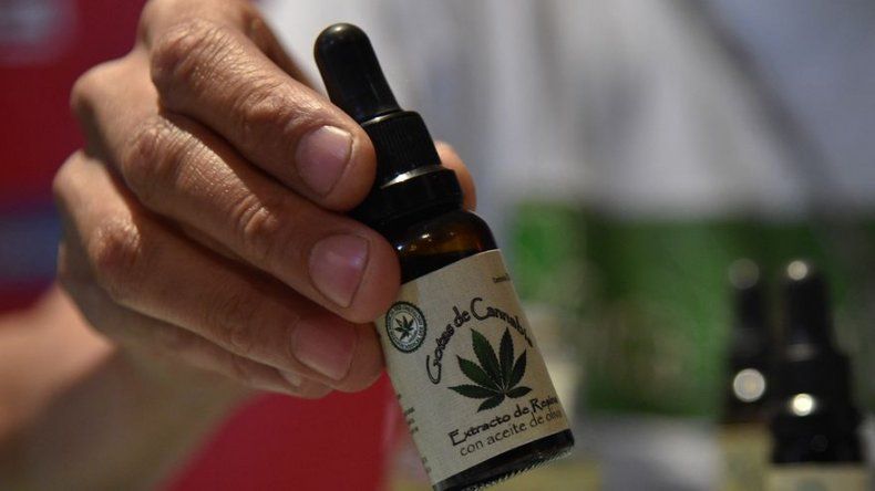 Un pueblo argentino busca venia legal para cultivar marihuana con fin medicinal