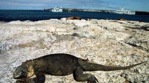 Cancilleres del Pacífico suramericano dan cita en islas Galápagos