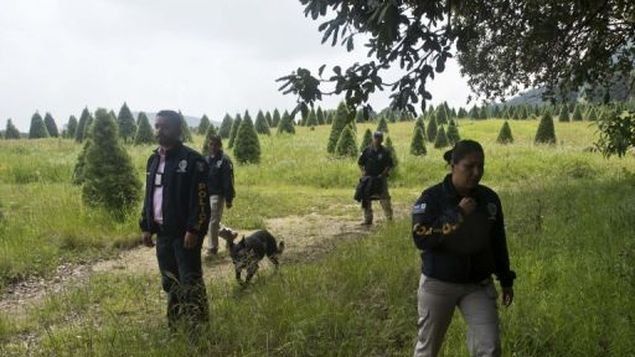 Avioneta se estrella en zona montañosa dominicana