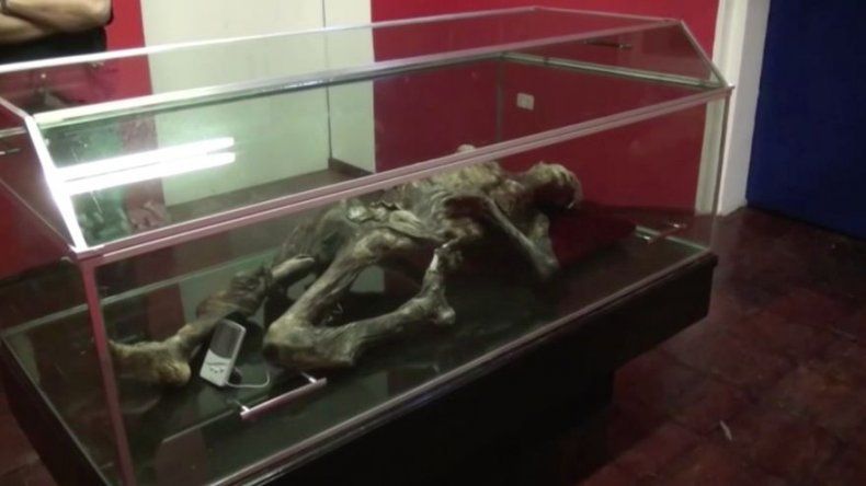 Exhiben misterioso cuerpo momificado hallado en el monte Orizaba de México