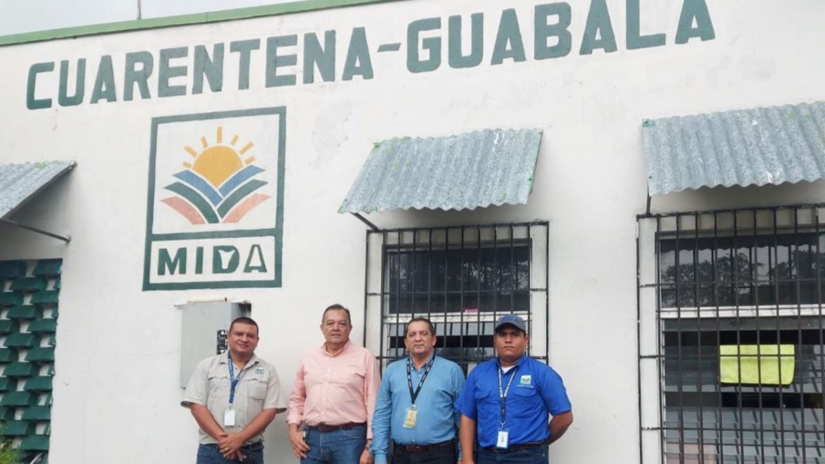 Nuevas tarifas del MIDA para servicios cuarentenarios. Nuevas tarifas del MIDA para servicios cuarentenarios.