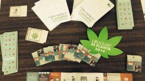 Presentan manual sobre cómo se puede plantar y consumir marihuana en Uruguay