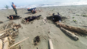 MiAmbiente MiAmbiente