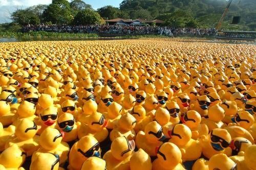 Aldeas Infantiles SOS busca fondos para los niños huérfanos con la gran carrera del “Patito de Hule”