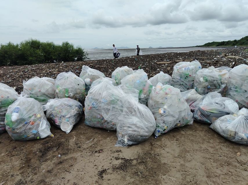 Voluntarios realizan jornada de limpieza&nbsp;