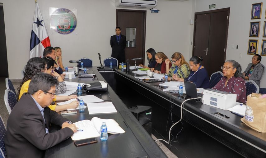 Asamblea Nacional analiza proyecto de ley para agilizar los procesos de adopción.