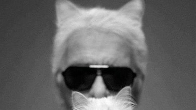 La popularidad de Choupette en Instagram da pie a una batalla por controlar su imagen