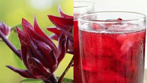 Bebida de saril: ¿cómo prepararla?&nbsp;