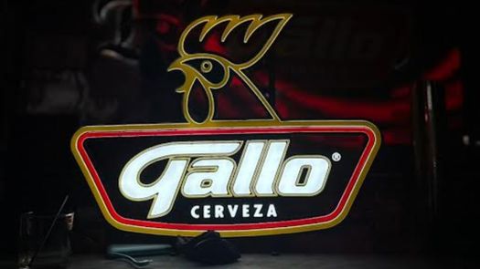 Cerveza Gallo llega a Panamá de la mano de Dicarina y refuerza su expansión regional