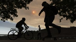 Chile ha registrado una temporada de incendios especialmente fuerte, antes incluso del comienzo oficial del verano, con temperaturas muy altas en las últimas semanas.