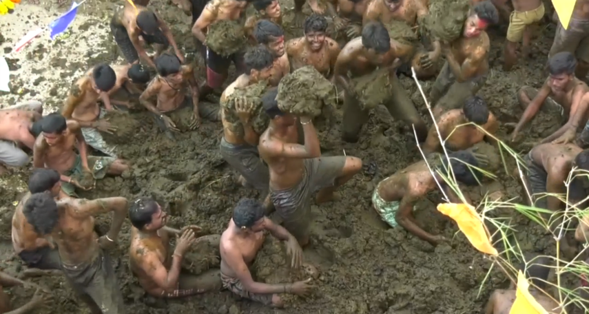 Muchos creen que el excremento de vaca tiene propiedades curativas.