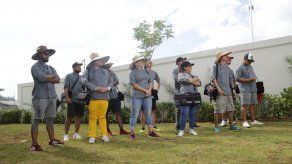 ¿Quién gana el reto de corte brunoise?