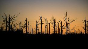 El papa Francisco ora por víctimas de tornado en EEUU El papa Francisco ora por víctimas de tornado en EEUU